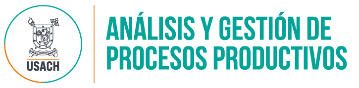 Análisis y Gestión de Procesos Productivos | USACH